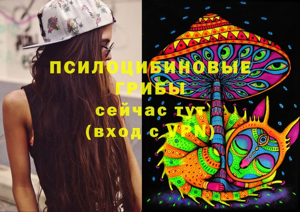 эйфоретик Алексин