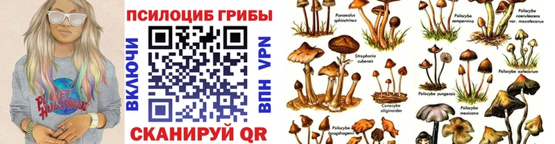 Псилоцибиновые грибы прущие грибы как найти закладки Рязань